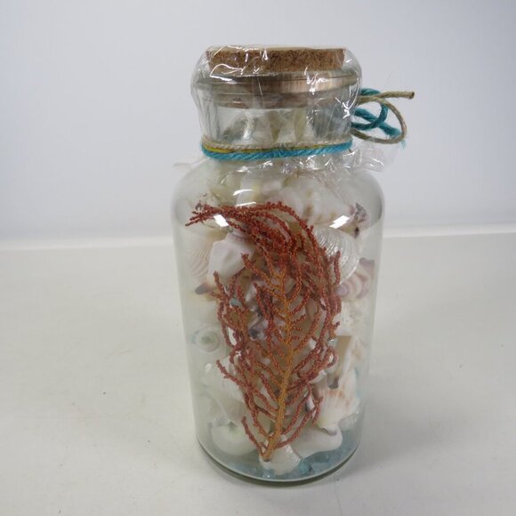 Jar of REAL white sea shells w dried red sea fan, Glass w cork lid (over 1 pound - Picture 2 of 10